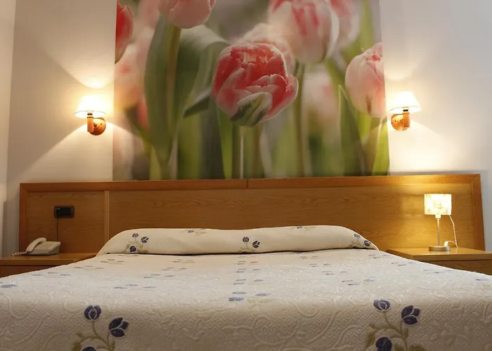 Hotel Soraya (adults Only)